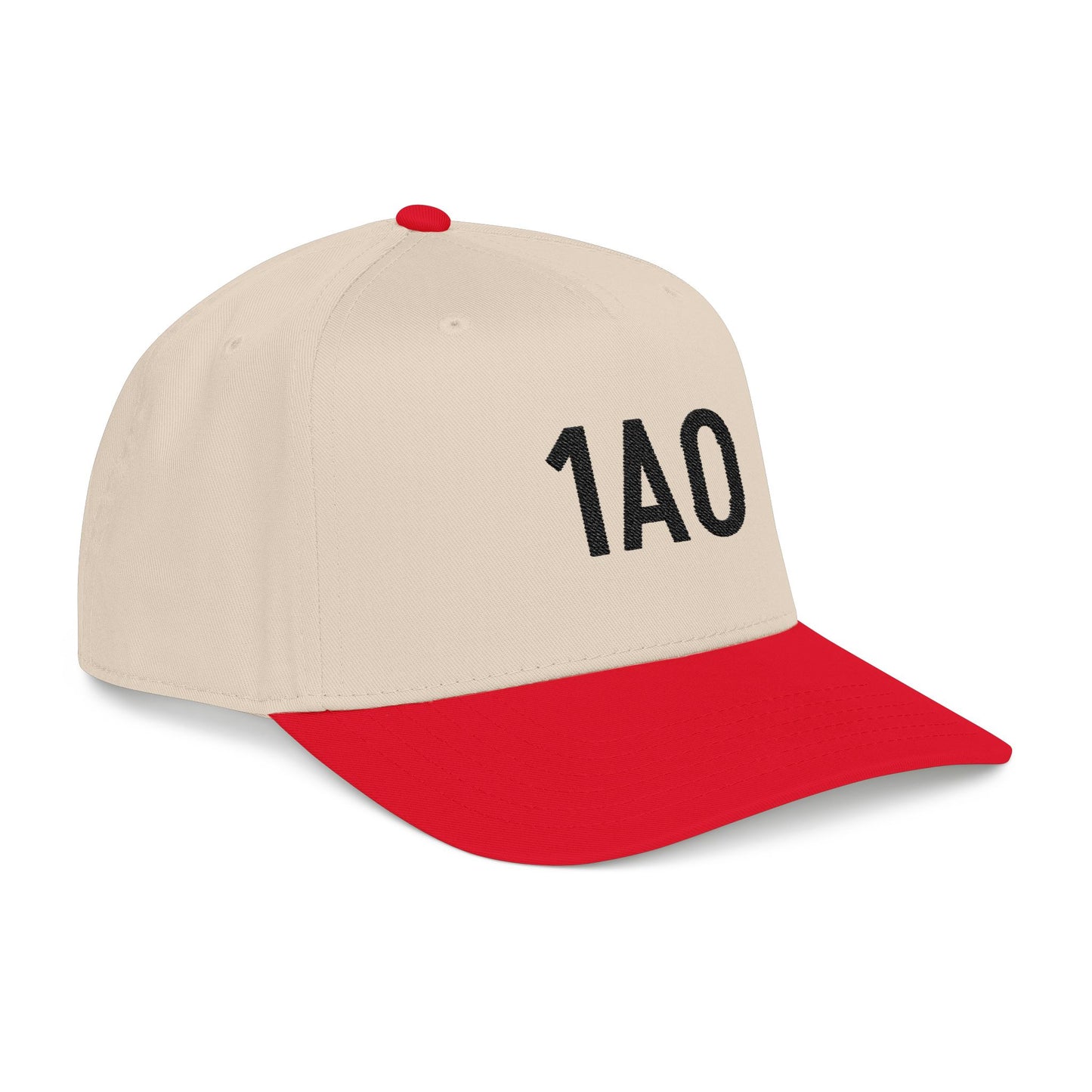 Embroidered 1AO Baseball Cap