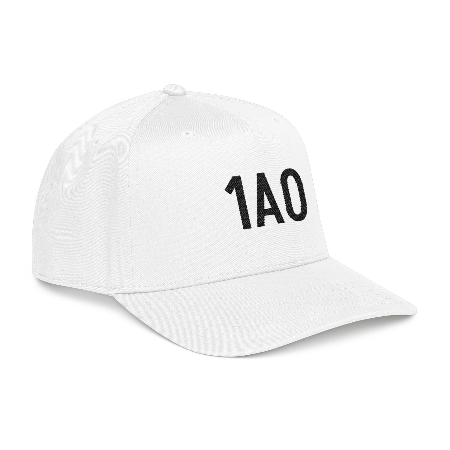 Embroidered 1AO Baseball Cap