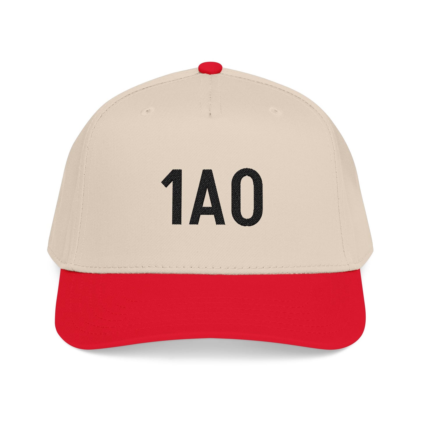Embroidered 1AO Baseball Cap