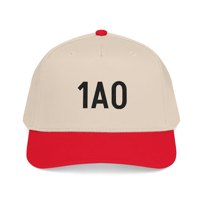 Embroidered 1AO Baseball Cap