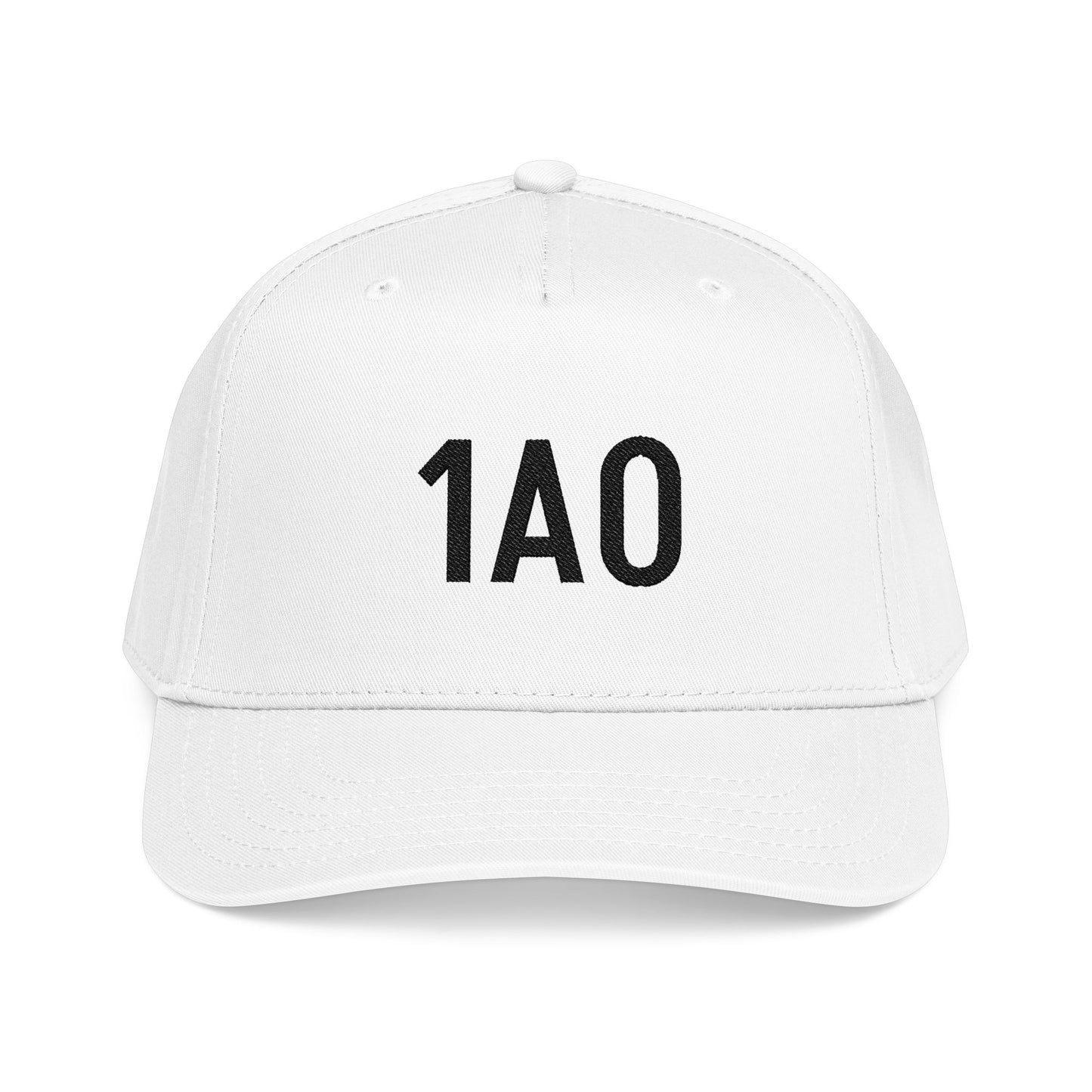 Embroidered 1AO Baseball Cap