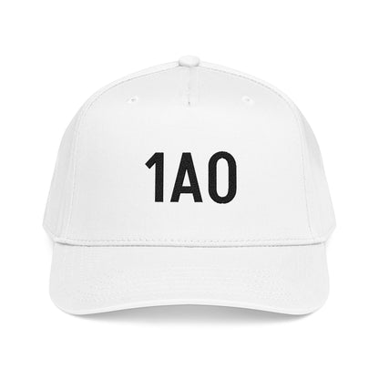 Embroidered 1AO Baseball Cap