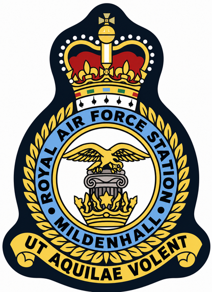 The 351st ARS